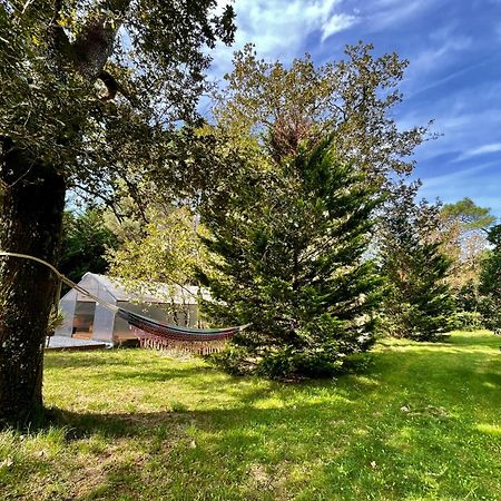 Cabane Au Milieu Des Pins - Domaine Temali Labouheyre Kültér fotó