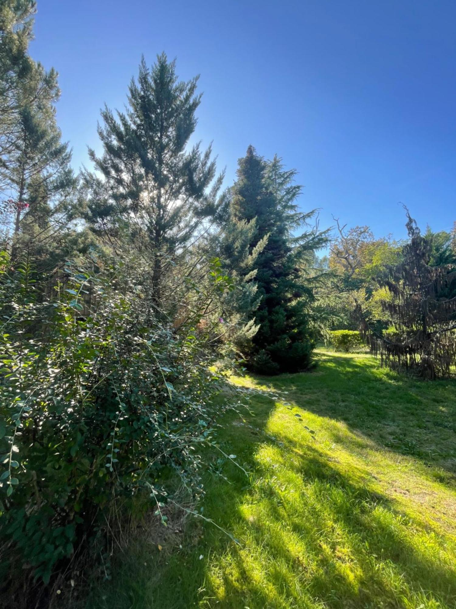 Cabane Au Milieu Des Pins - Domaine Temali Labouheyre Kültér fotó