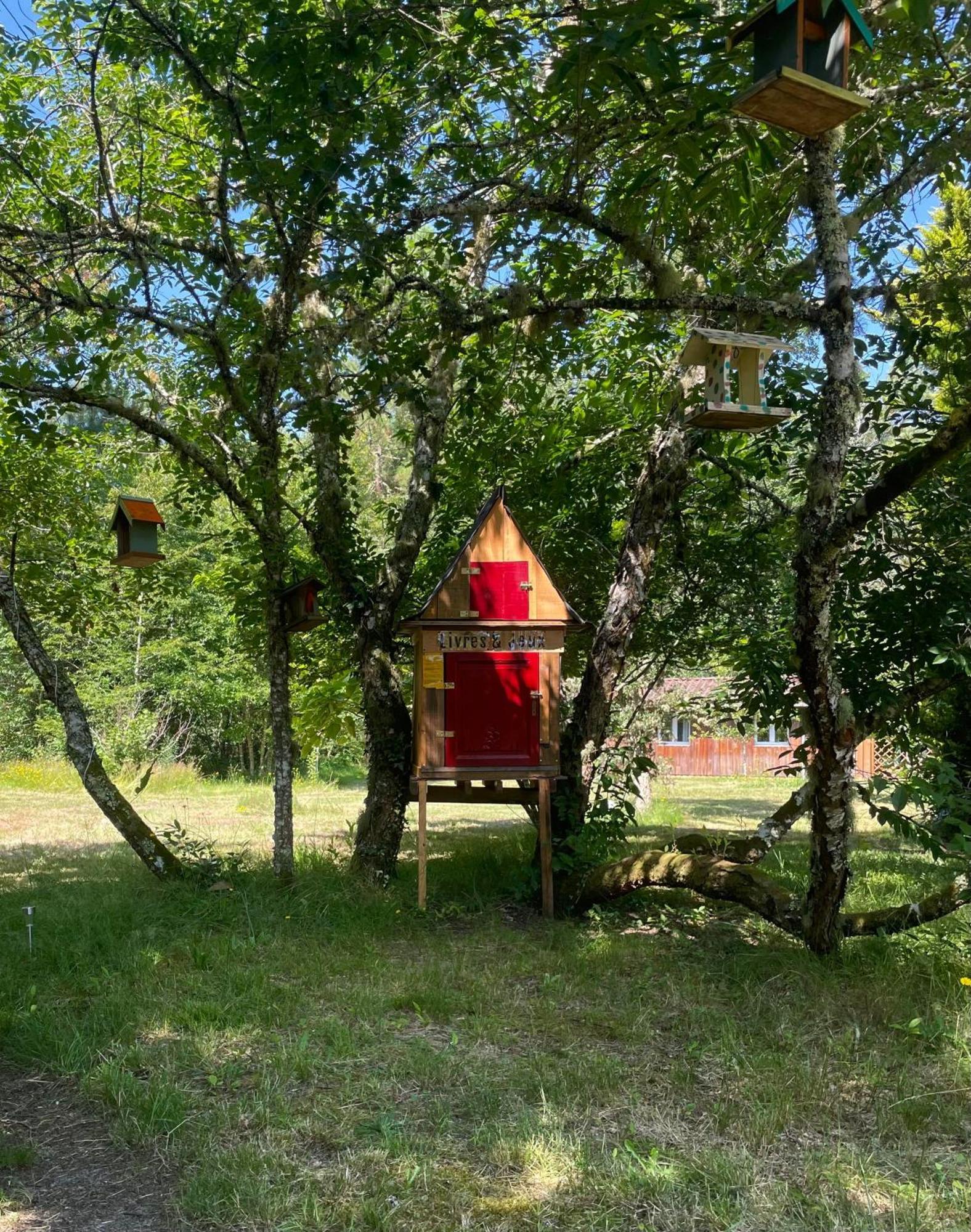 Cabane Au Milieu Des Pins - Domaine Temali Labouheyre Kültér fotó